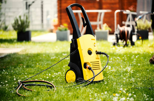 Animal Enclosure Cleaning in Fern Park, FL